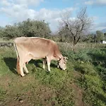 Alojamento de Turismo Rural La Croisette -