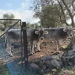 Alojamento de Turismo Rural La Croisette - *