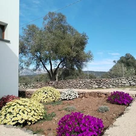 La Croisette - * Dorgali