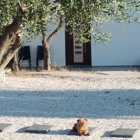 La Croisette - Çiftlik konaklama