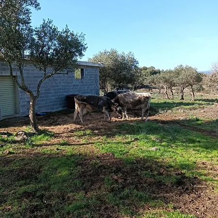 - La Croisette Agroturismo *