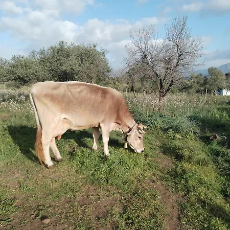 Farm stay La Croisette B&B - Farmhouse