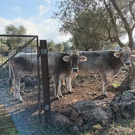 Farm stay La Croisette - *