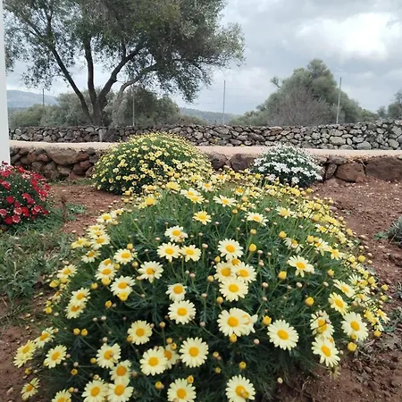 La Croisette - Dorgali