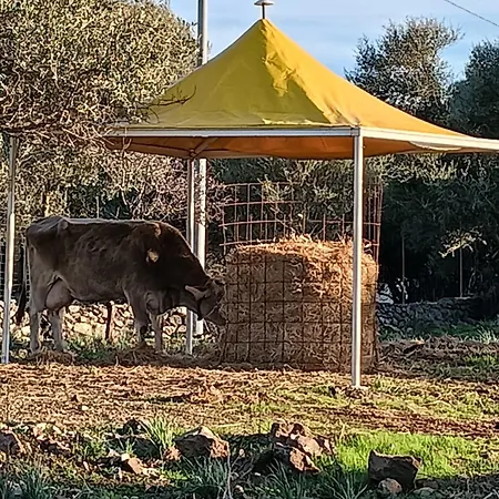 La Croisette B&B - Farmhouse