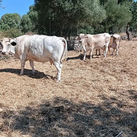 La Croisette - Çiftlik konaklama